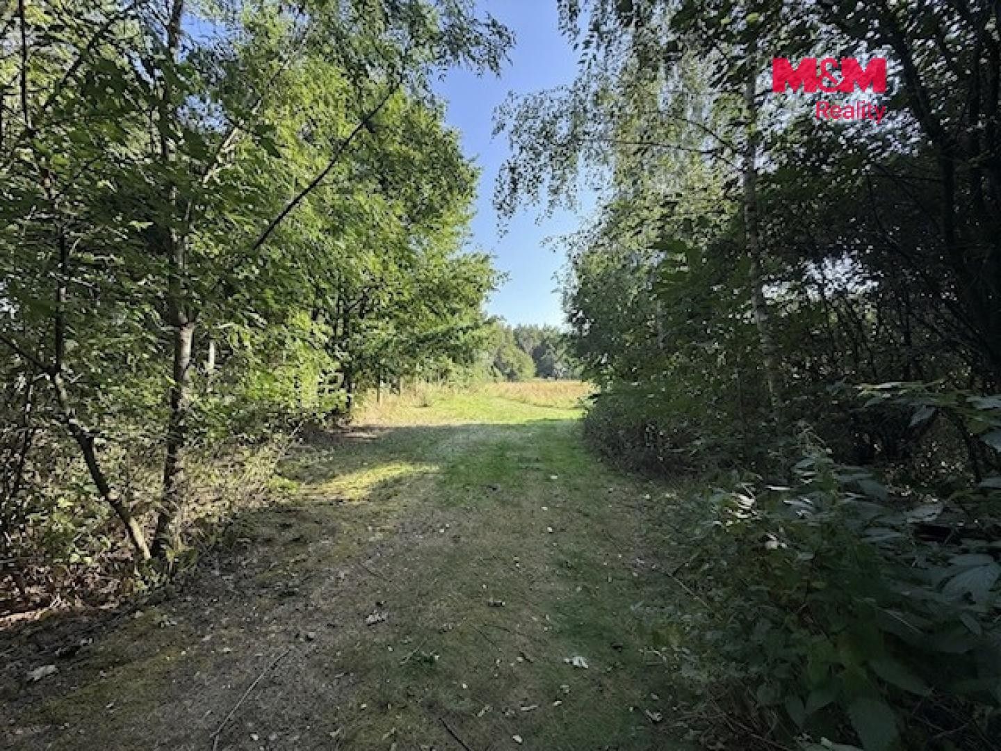 Prodej pozemku 2340 m² - foto 7