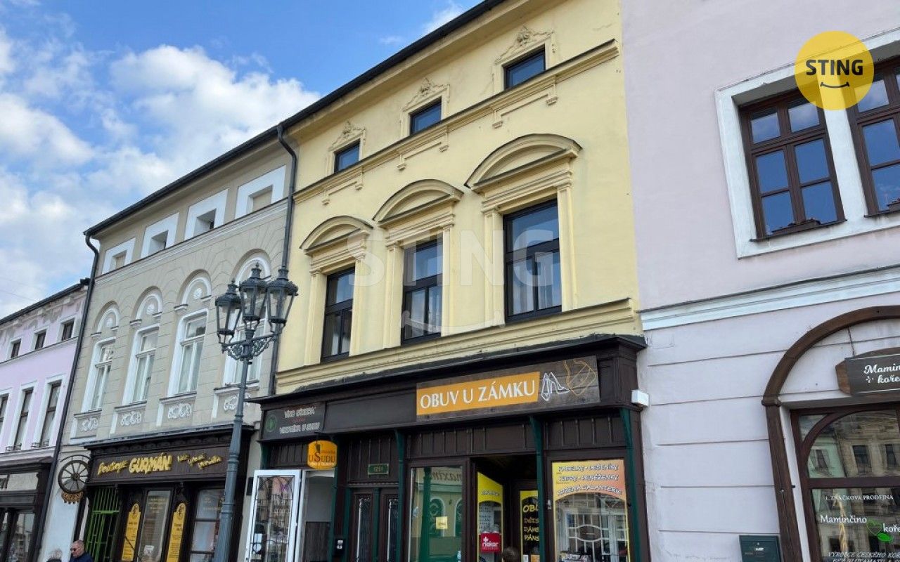 Pronájem bytu 3+kk 69 m² - foto 14