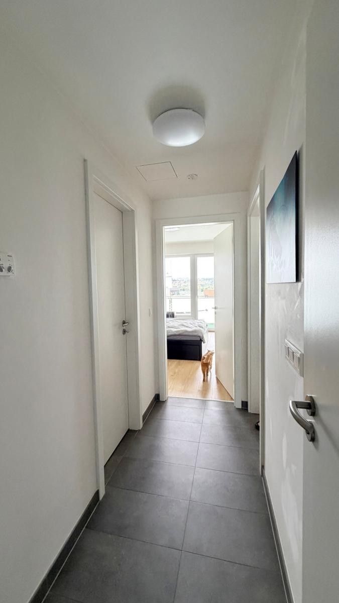 Pronájem bytu 2+kk 52 m² - foto 14