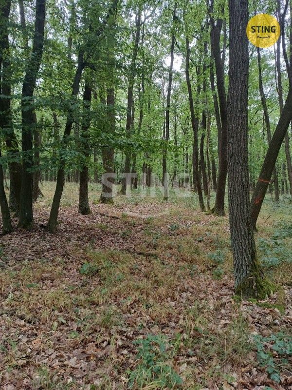 Prodej pozemku 2723 m² - foto 2