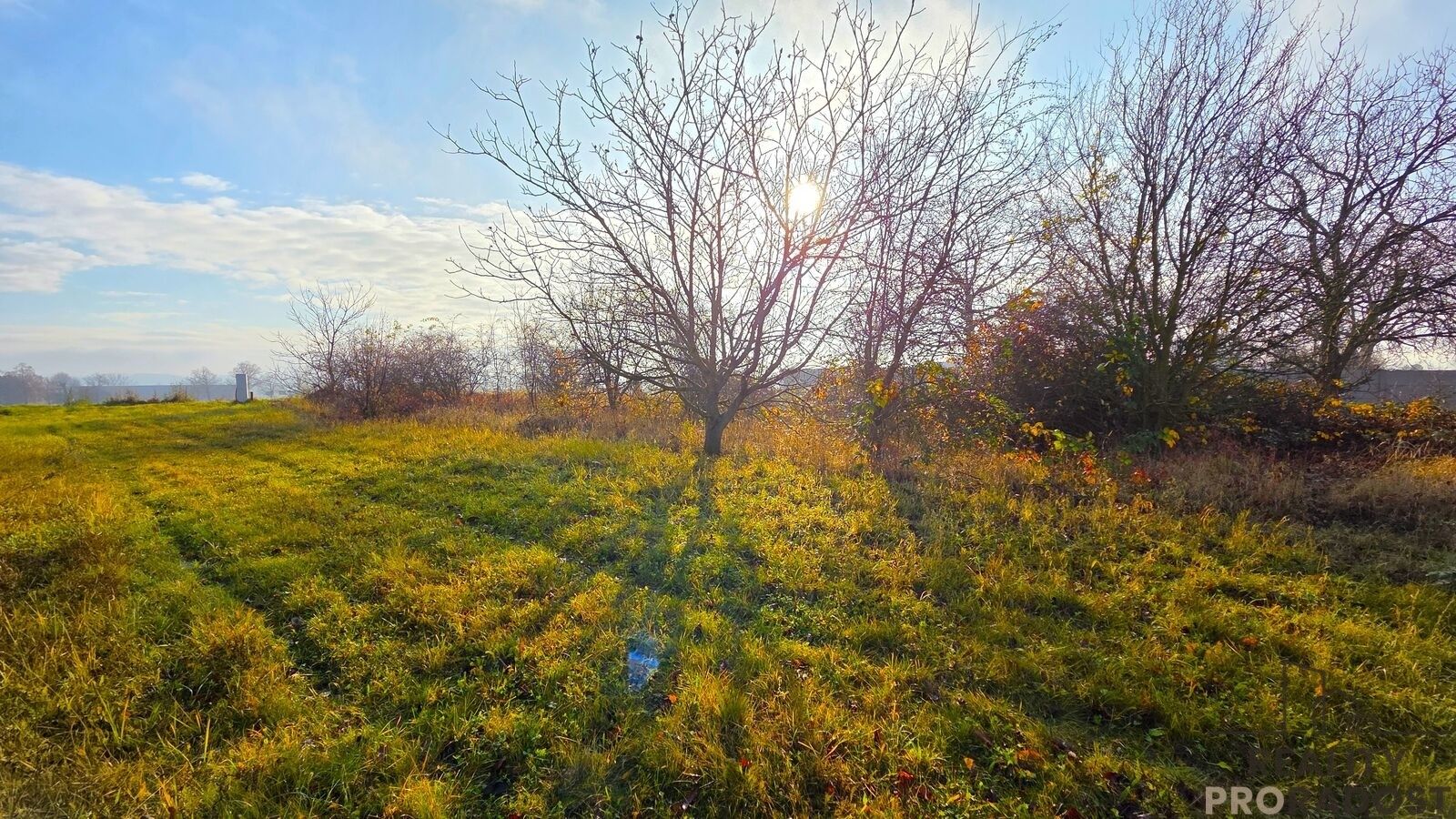 Prodej pozemku 2698 m² - foto 11