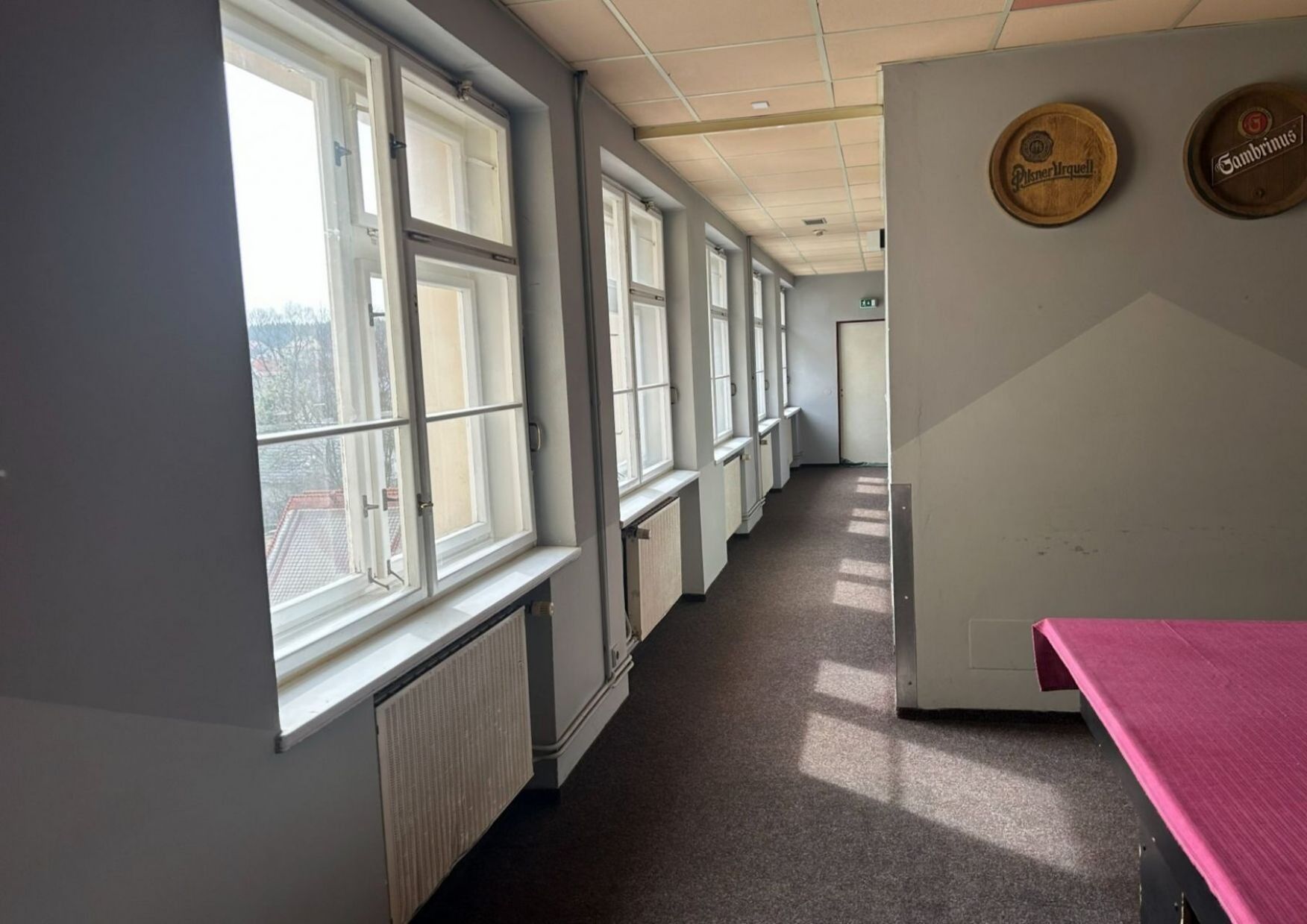 Prodej komerčního prostoru 560 m² - foto 9
