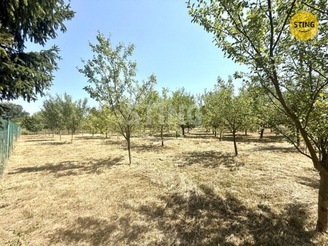 Prodej pozemku 4652 m² - foto 4