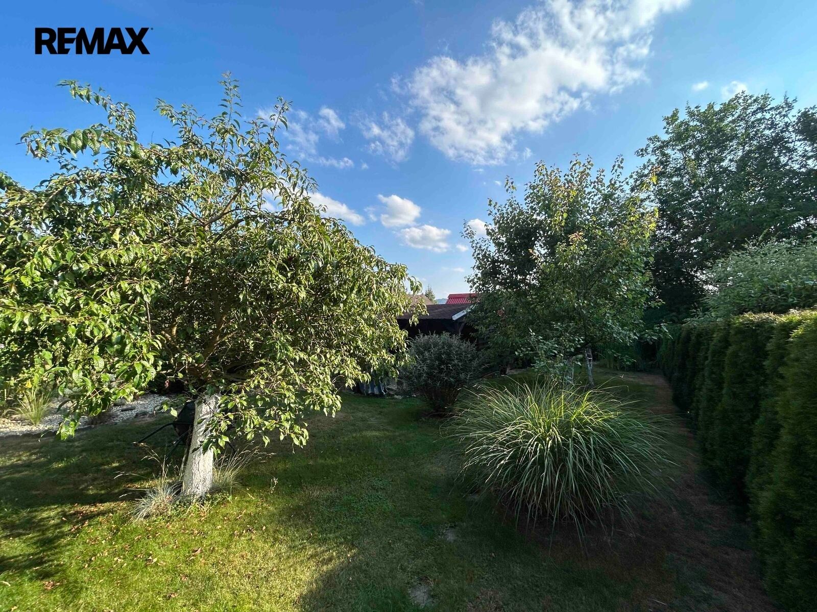 Prodej domu 40 m² - foto 11