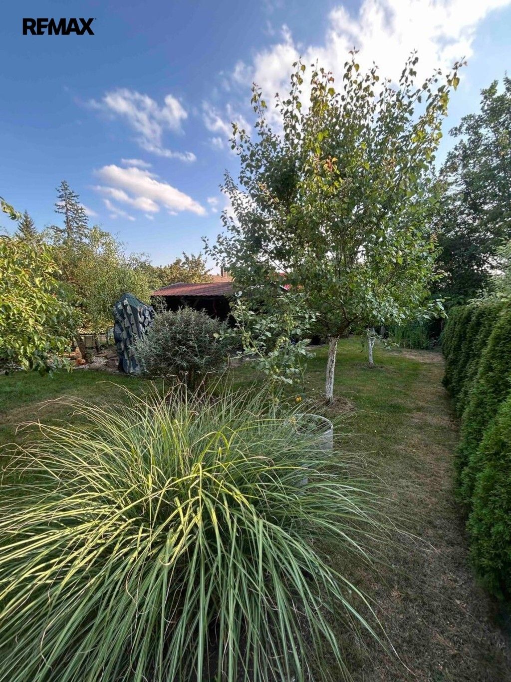 Prodej domu 40 m² - foto 10