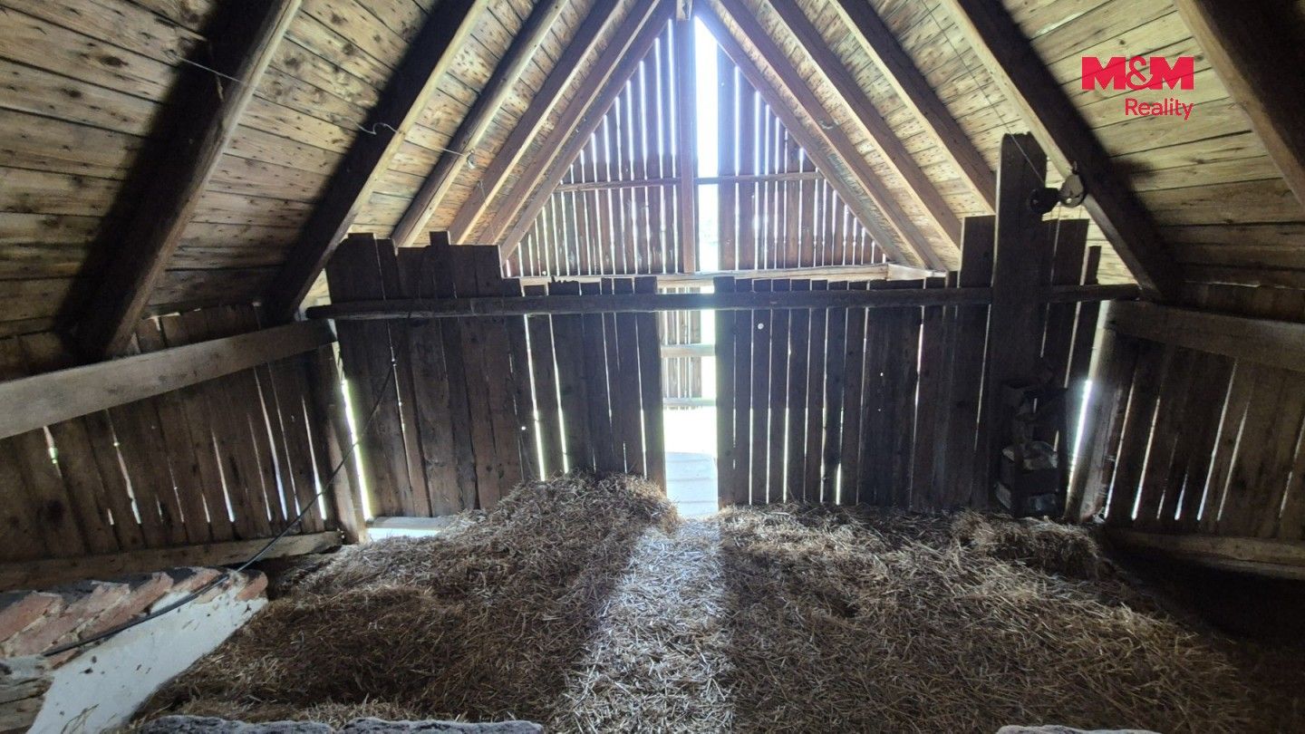 Prodej nemovitosti 450 m² - foto 13