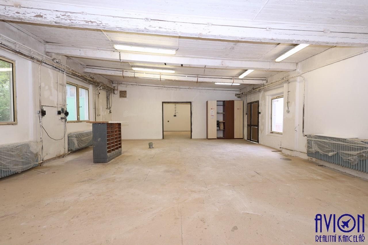 Pronájem komerčního prostoru 160 m² - foto 7