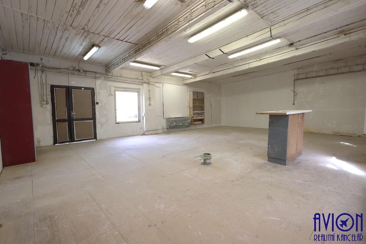 Pronájem komerčního prostoru 160 m² - foto 8