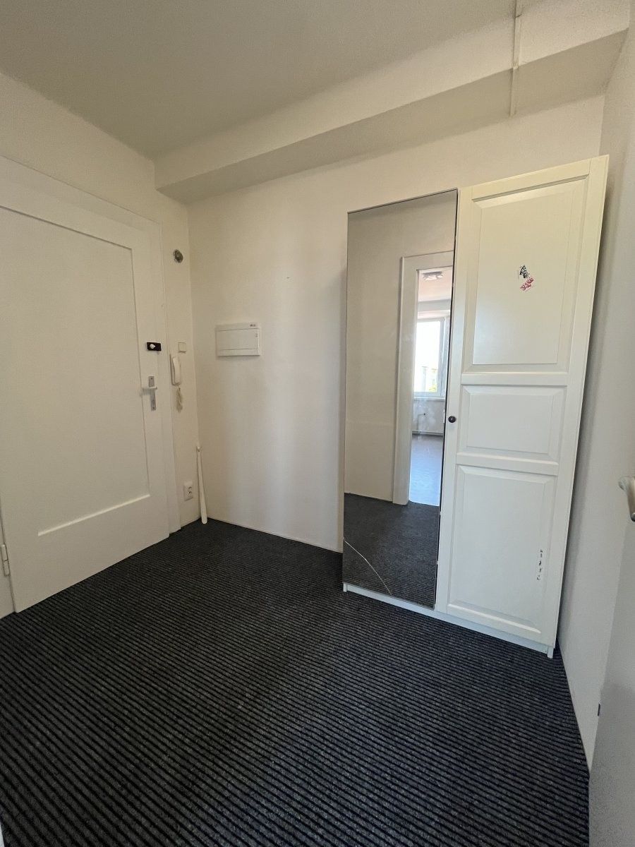 Pronájem bytu 1+1 28 m² - foto 5