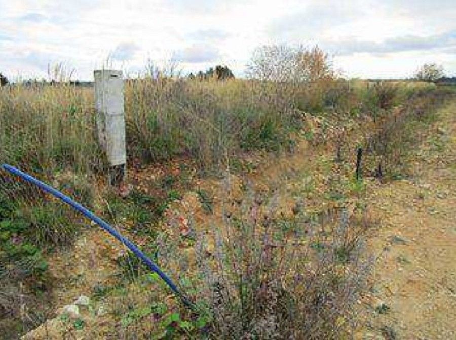 Prodej pozemku 1000 m² - foto 1