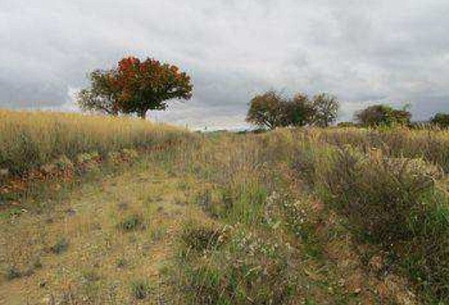 Prodej pozemku 1000 m² - foto 3