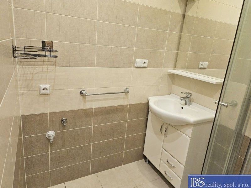 Pronájem bytu 2+1 65 m² - foto 12