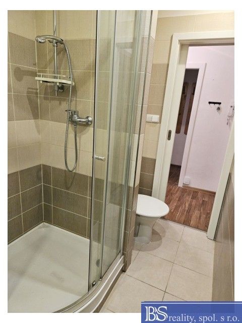 Pronájem bytu 2+1 65 m² - foto 13