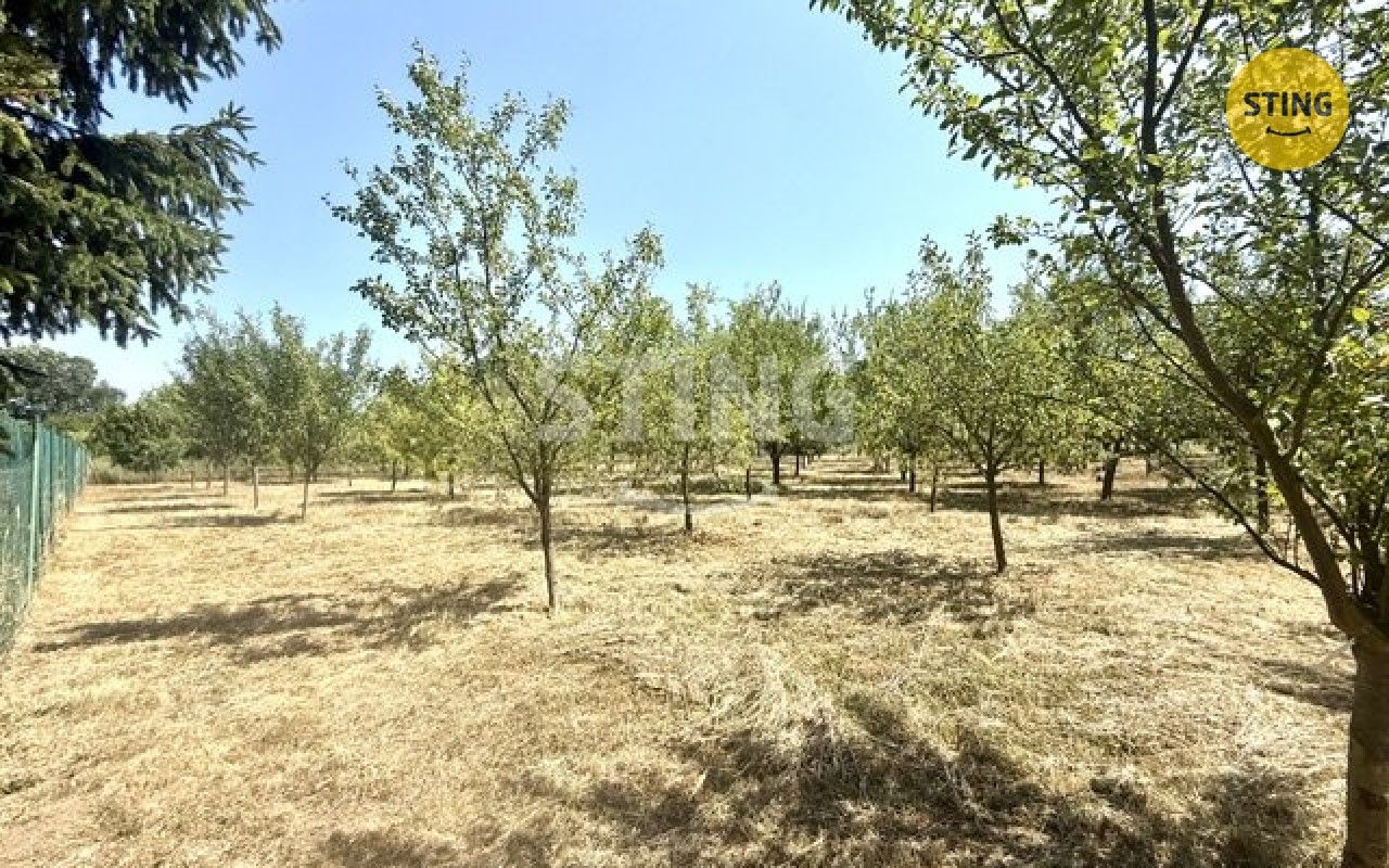 Prodej pozemku 4652 m² - foto 4