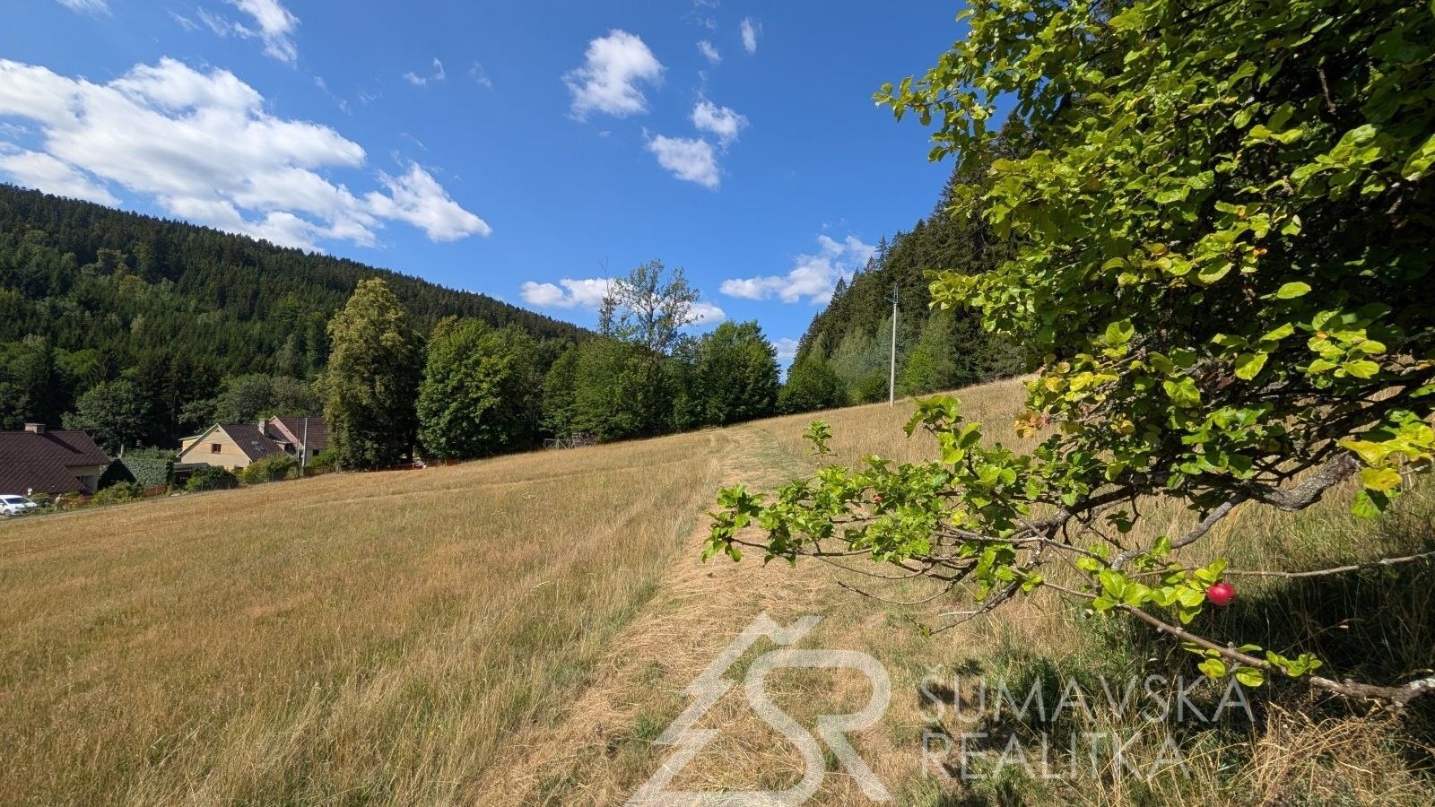 Prodej pozemku 4773 m² - foto 4