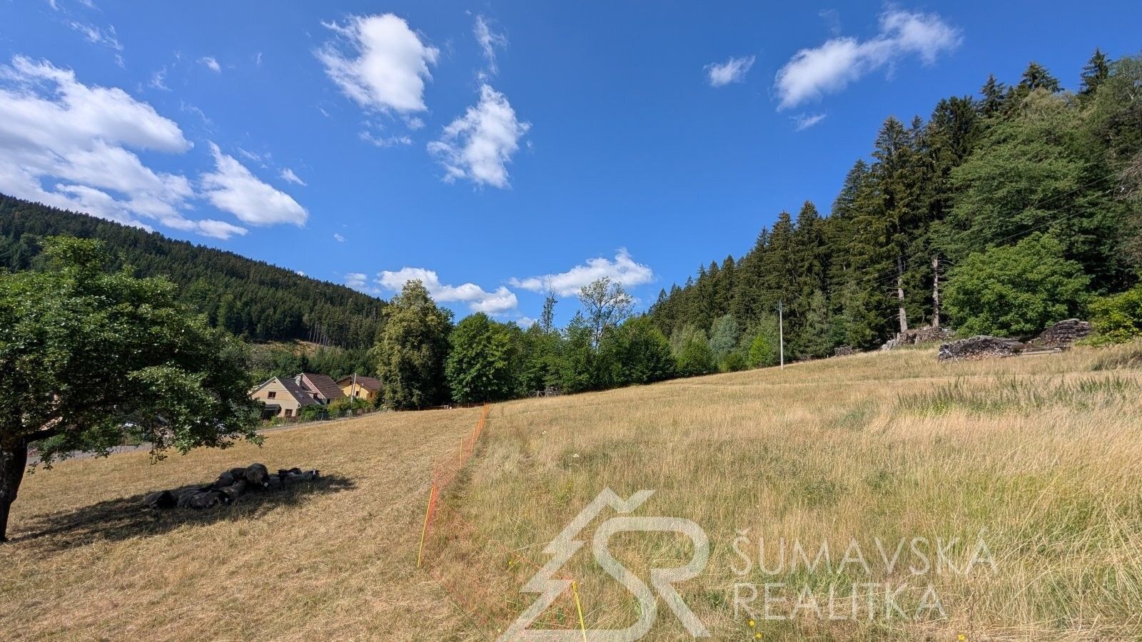 Prodej pozemku 4773 m² - foto 5