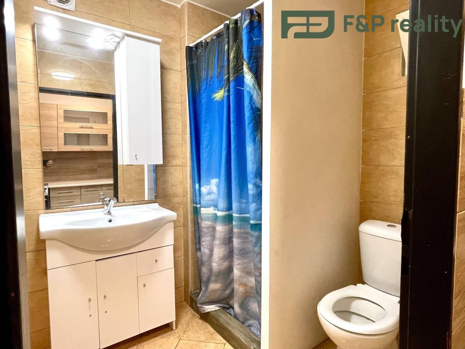 Pronájem bytu 1+1 50 m² - foto 4