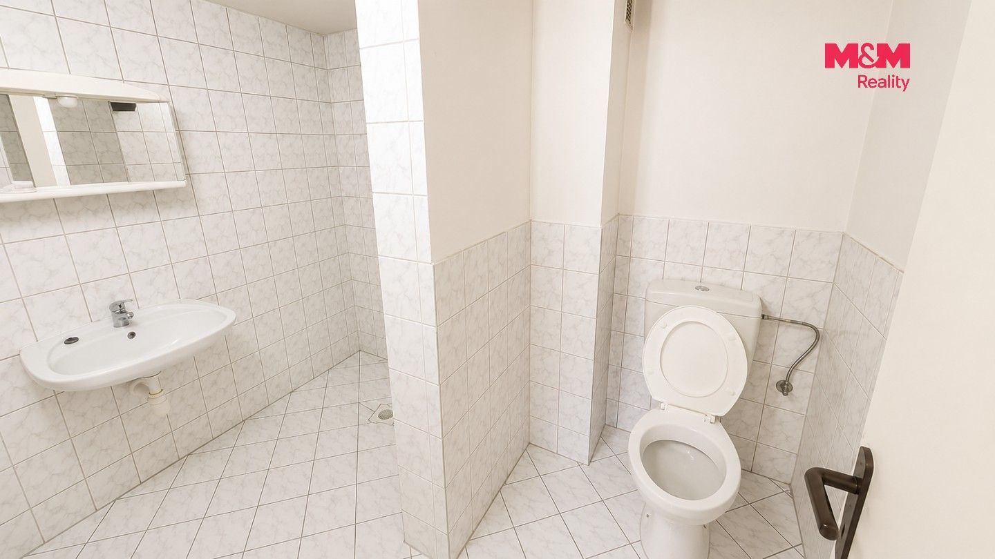Pronájem domu 220 m² - foto 13