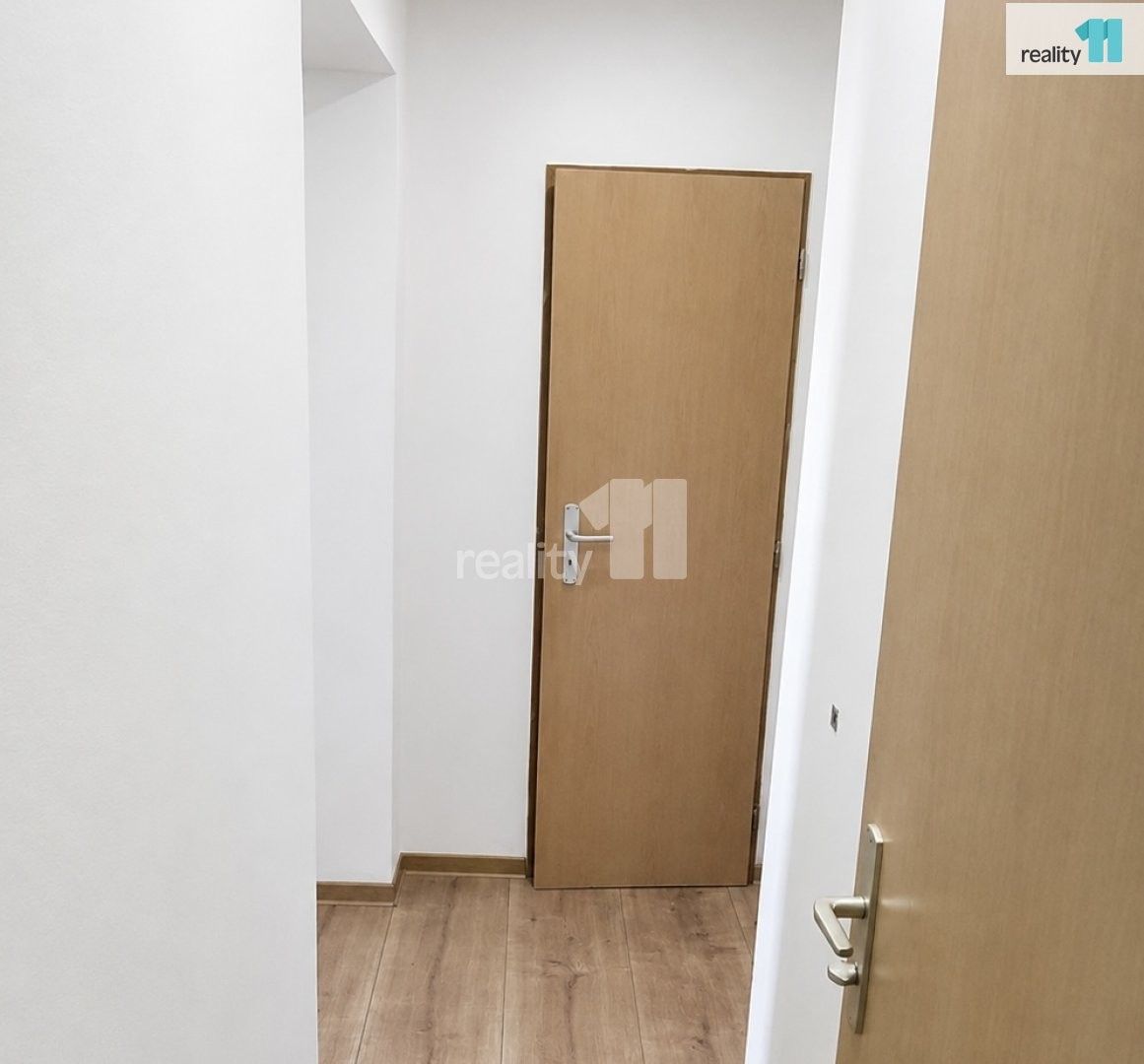 Pronájem bytu 3+kk 50 m² - foto 10