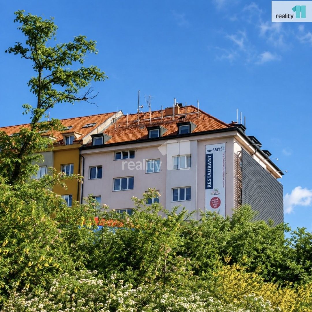 Pronájem bytu 3+kk 50 m² - foto 12