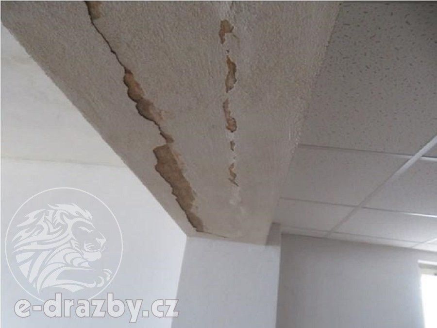 Prodej nemovitosti 2957 m² - foto 5