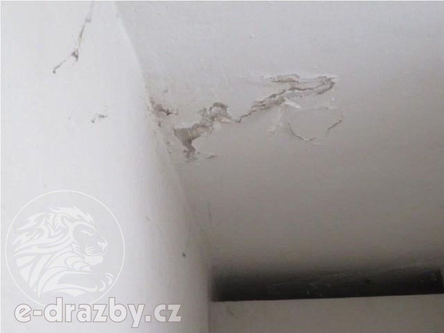 Prodej nemovitosti 2957 m² - foto 8