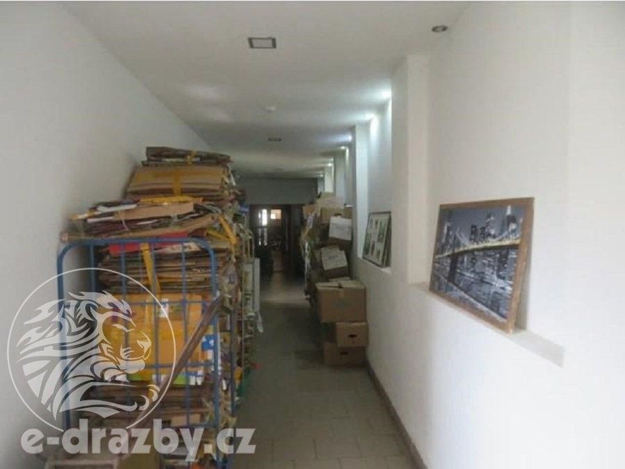 Prodej nemovitosti 2957 m² - foto 9