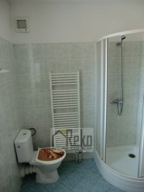 Pronájem bytu 4+1 112 m² - foto 11