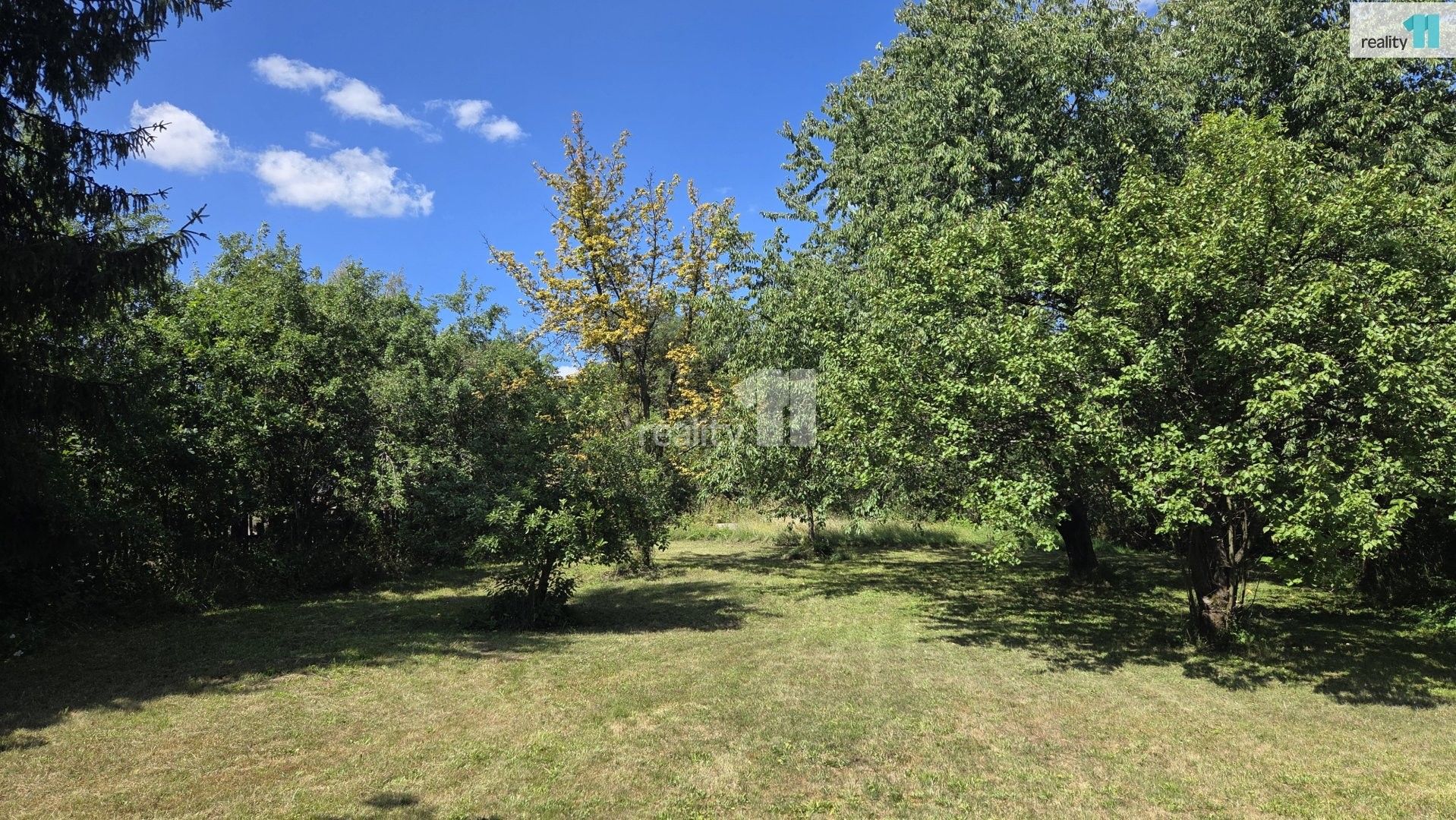 Prodej domu 2336 m² - foto 24