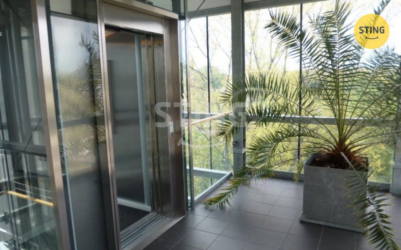 Pronájem komerčního prostoru 252 m² - foto 3