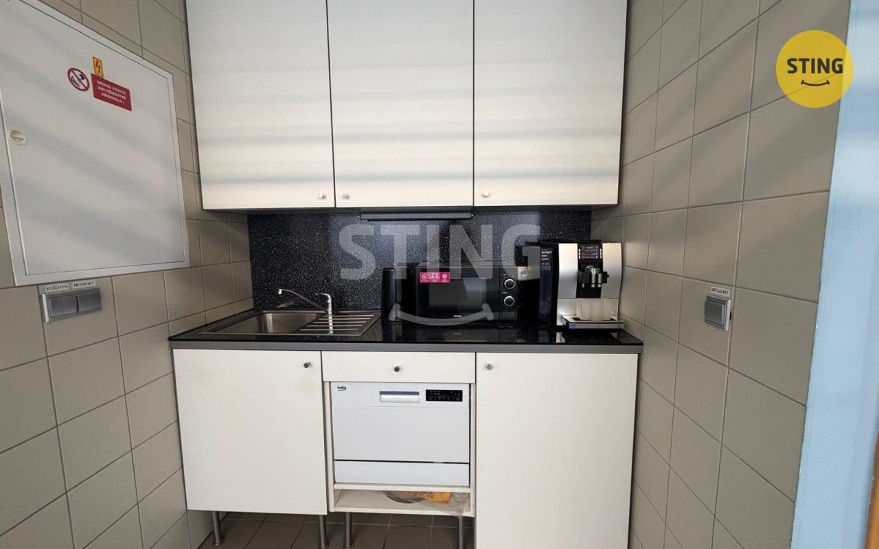 Pronájem komerčního prostoru 252 m² - foto 4