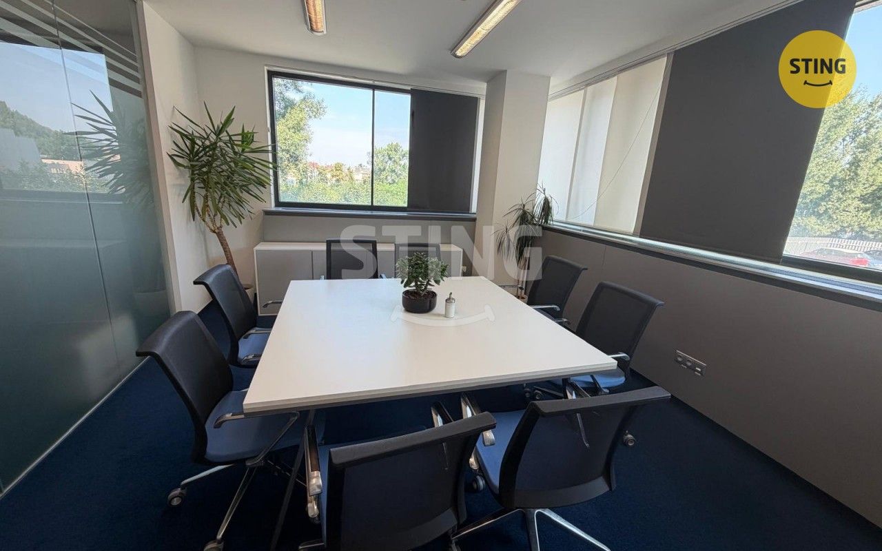Pronájem komerčního prostoru 252 m² - foto 5