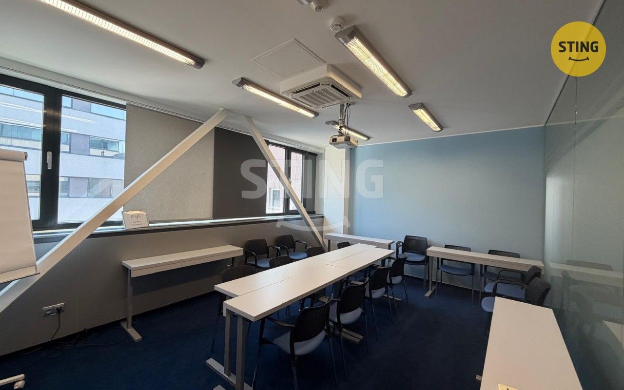 Pronájem komerčního prostoru 252 m² - foto 6