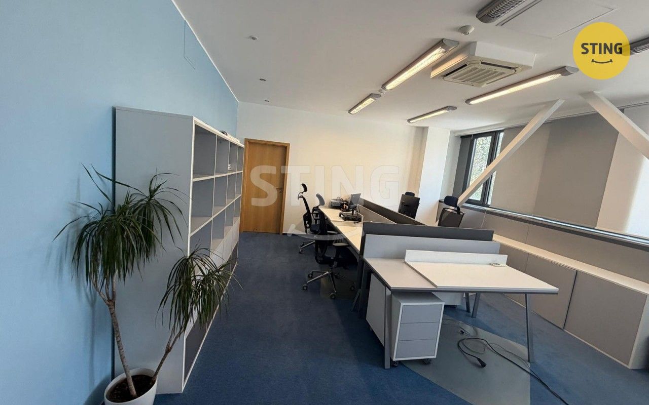 Pronájem komerčního prostoru 252 m² - foto 7