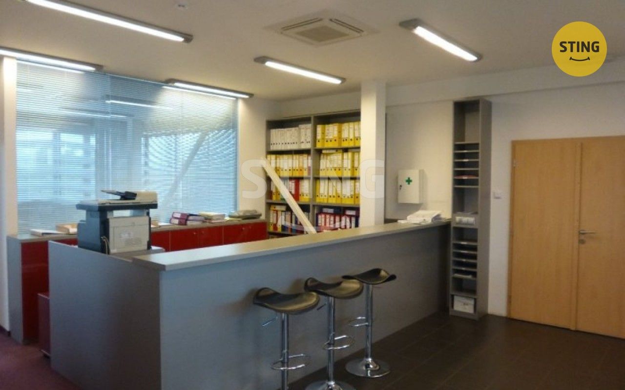 Pronájem komerčního prostoru 252 m² - foto 8