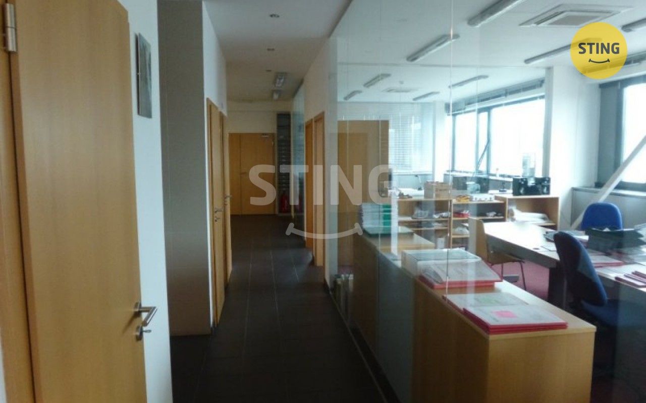 Pronájem komerčního prostoru 252 m² - foto 9