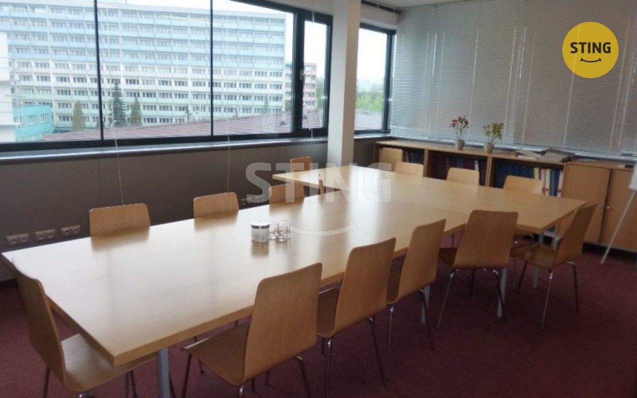 Pronájem komerčního prostoru 252 m² - foto 11