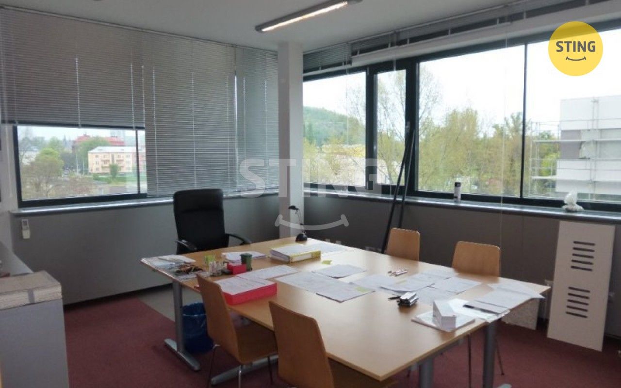 Pronájem komerčního prostoru 252 m² - foto 10
