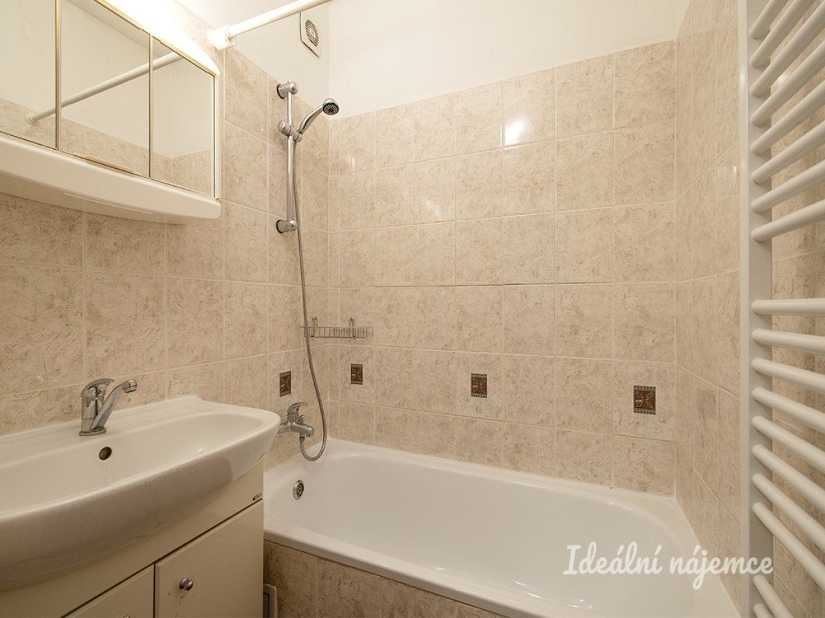 Pronájem bytu 2+1 52 m² - foto 6