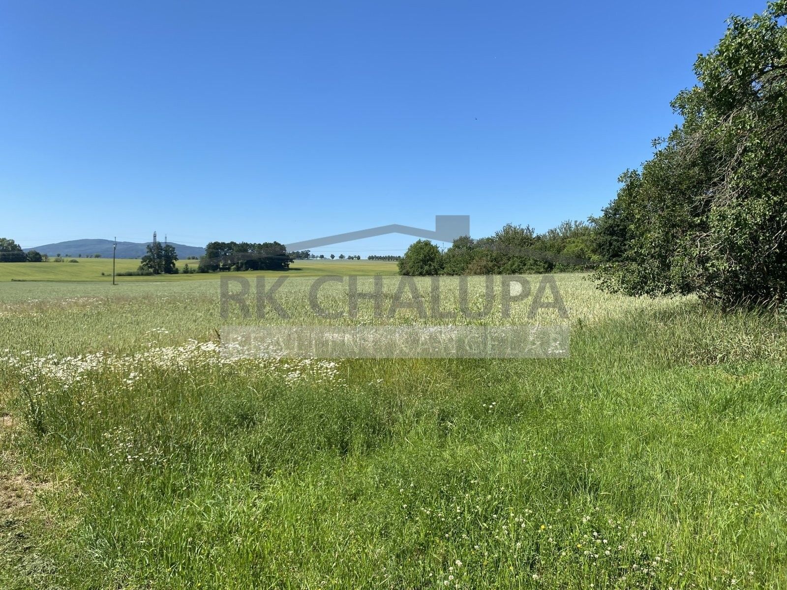 Prodej pozemku 3847 m² - foto 5