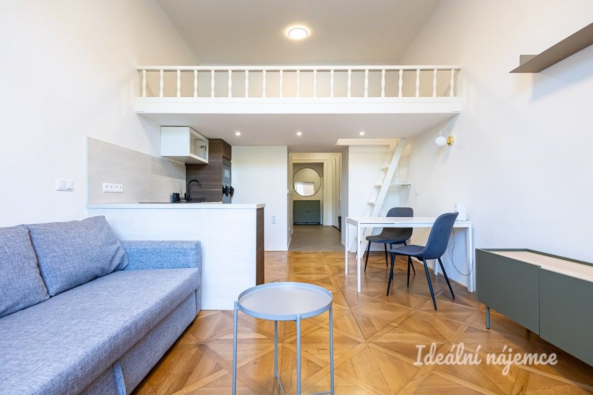 Pronájem bytu 1+kk 48 m² - foto 1