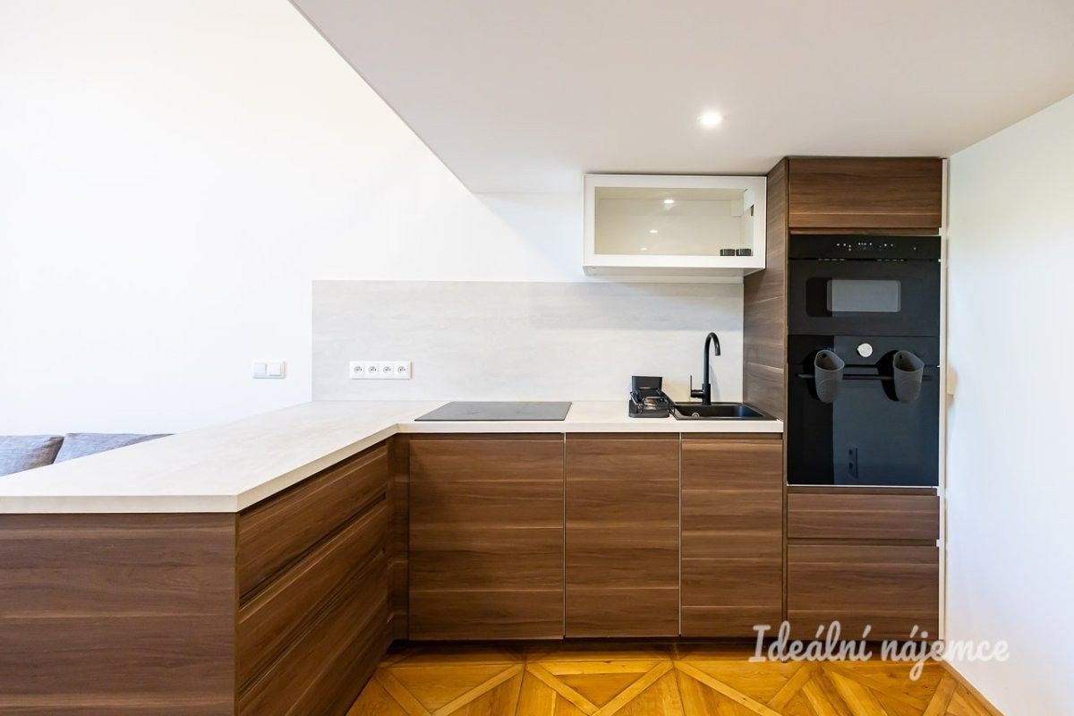 Pronájem bytu 1+kk 48 m² - foto 2
