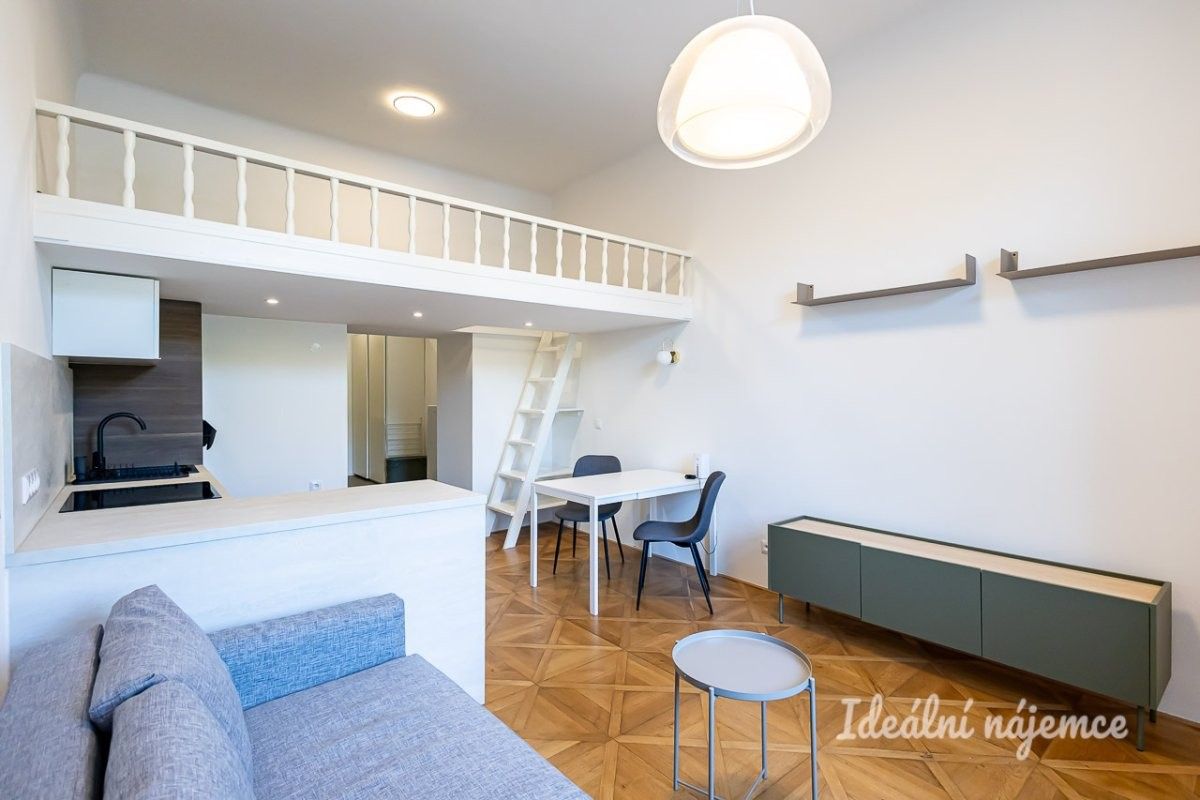 Pronájem bytu 1+kk 48 m² - foto 4