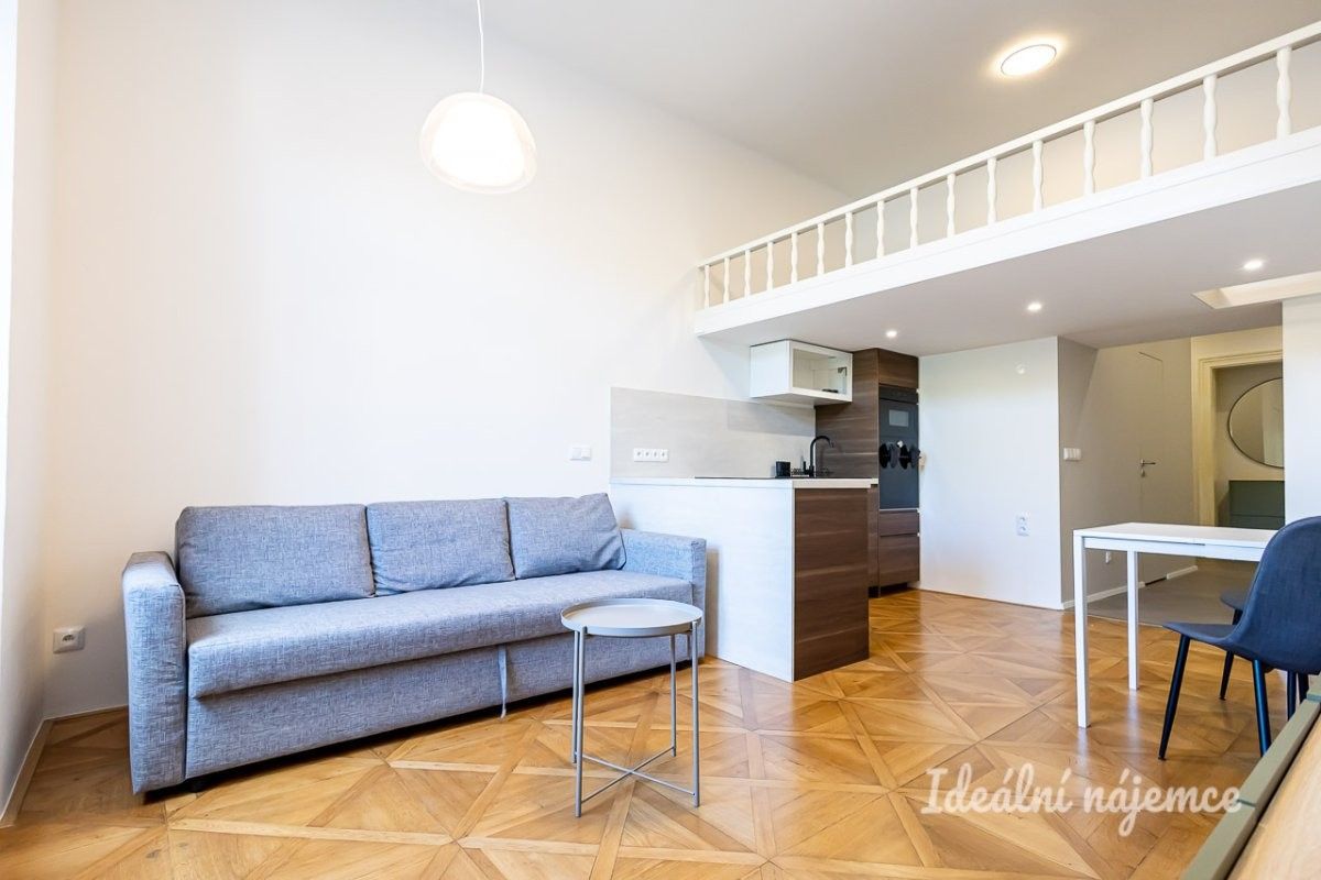 Pronájem bytu 1+kk 48 m² - foto 3