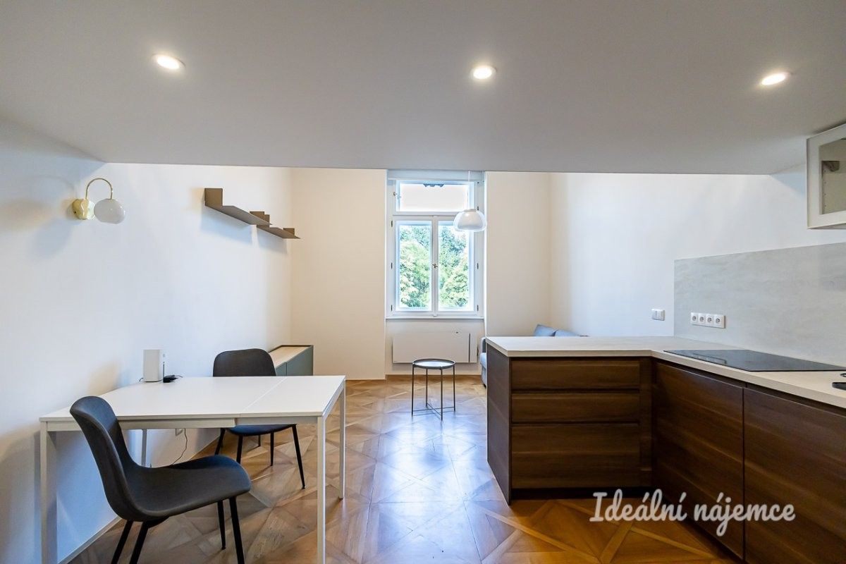 Pronájem bytu 1+kk 48 m² - foto 5