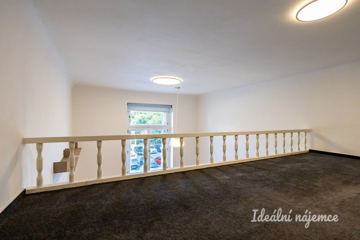 Pronájem bytu 1+kk 48 m² - foto 6