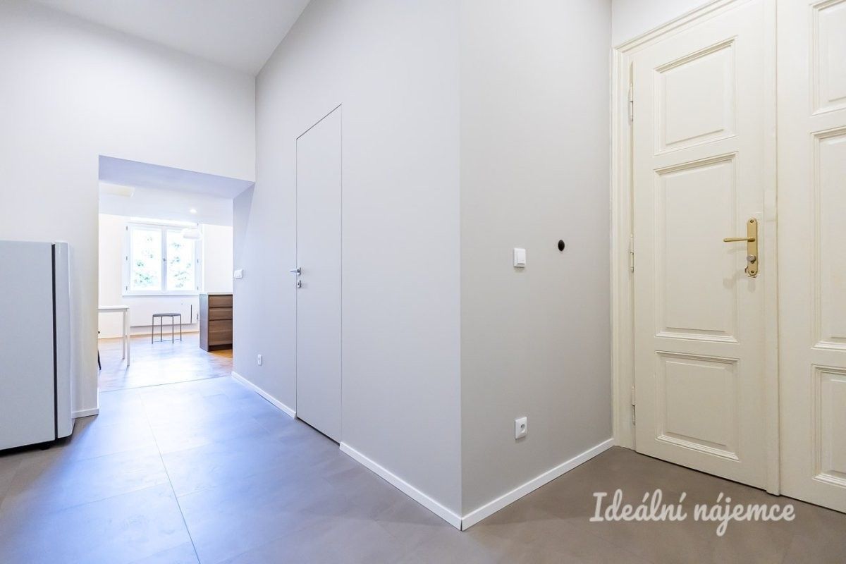 Pronájem bytu 1+kk 48 m² - foto 8