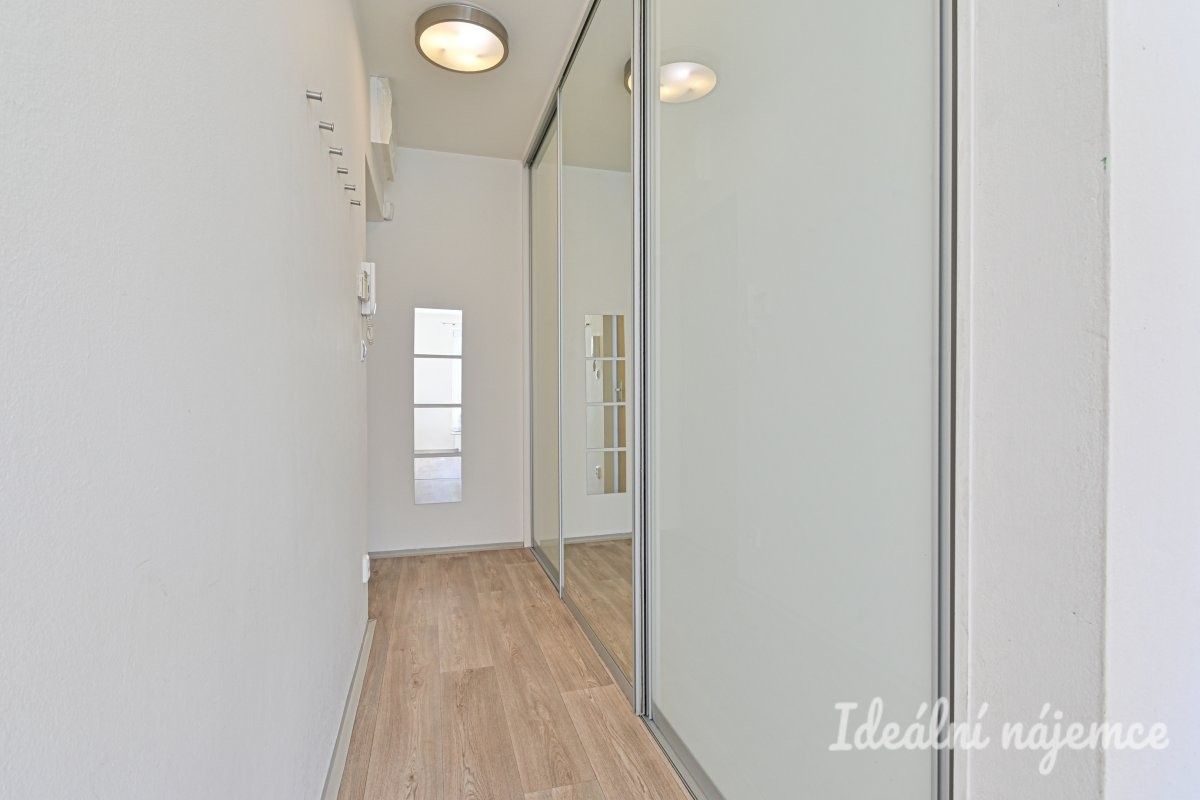 Pronájem bytu 2+kk 47 m² - foto 18
