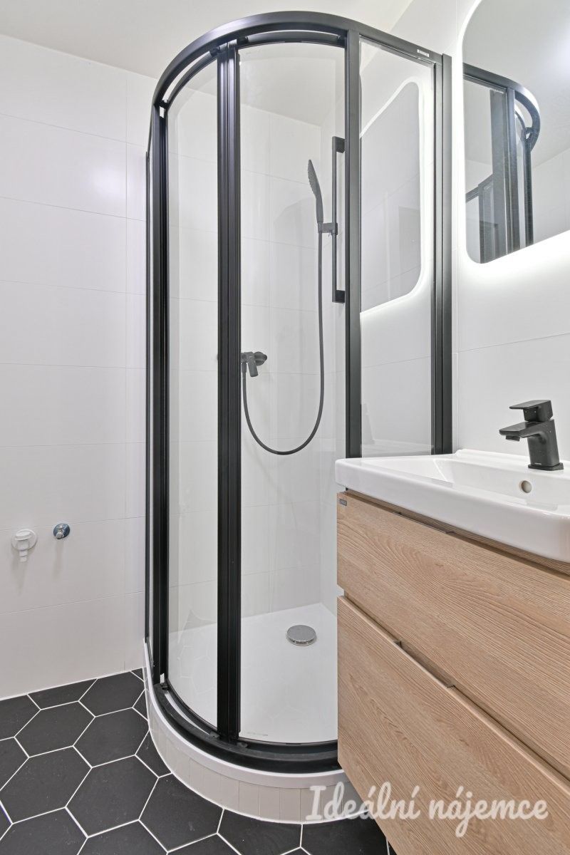 Pronájem bytu 2+1 55 m² - foto 7