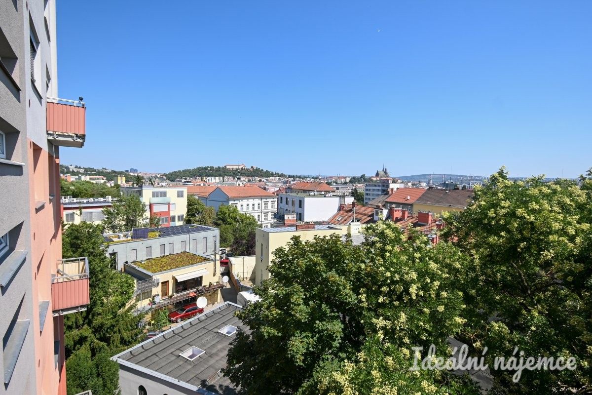 Pronájem bytu 2+1 55 m² - foto 10